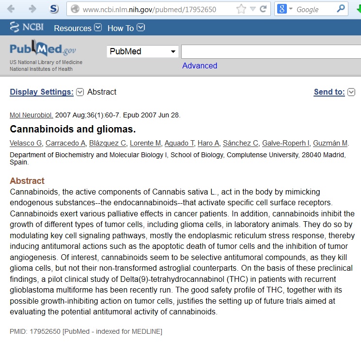 cannabis-hemp-marijuana-cures-cancer-in-a-2007-scientific-study